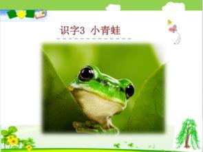 国产91小青蛙,探寻童年记忆中的欢乐精灵